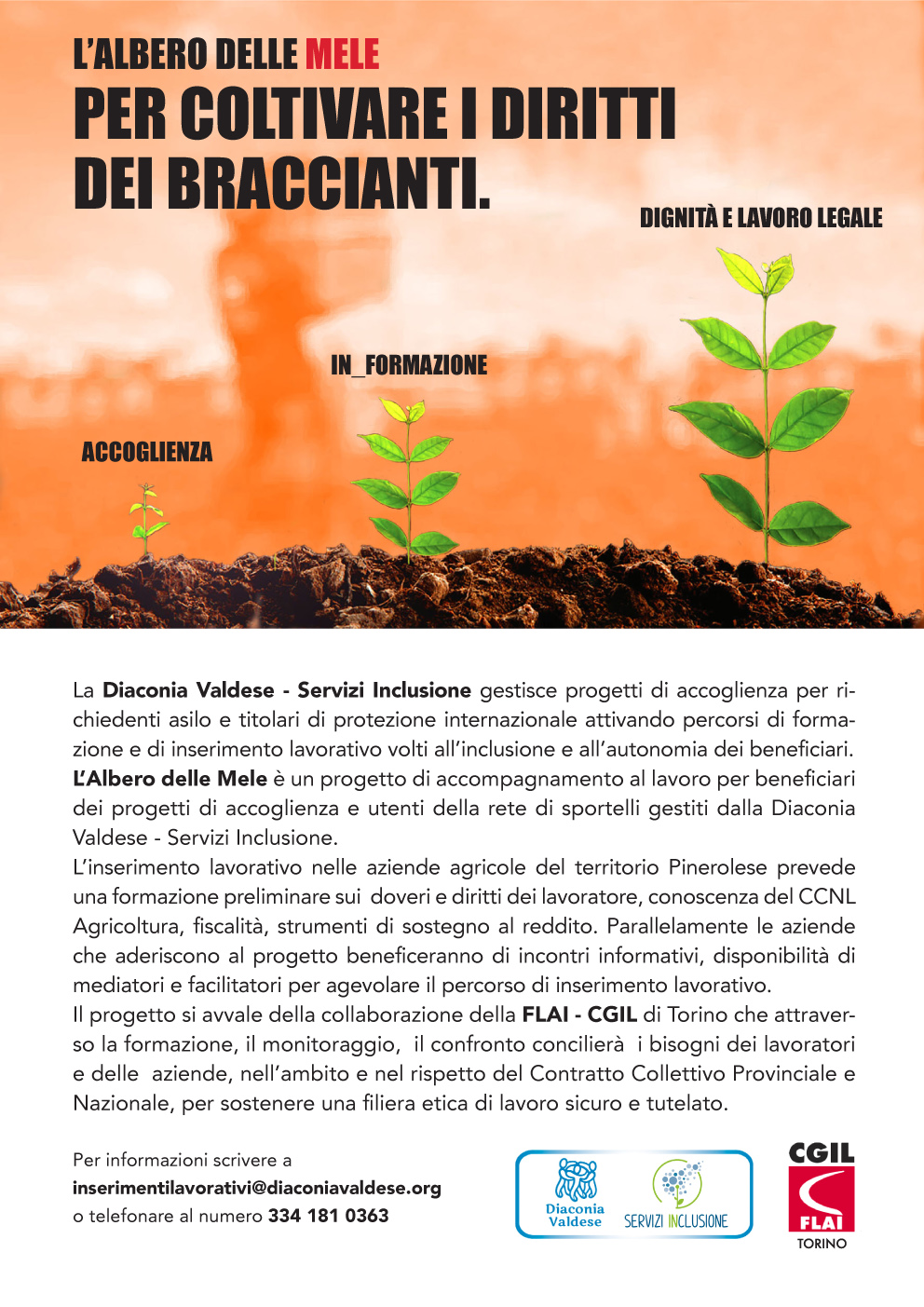 Al via il progetto L’Albero delle mele, una partnership tra Diaconia Valdese e FLAI-CGIL